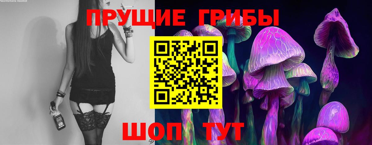 Новозыбков  Псилоцибиновые грибы мухоморы  Вход с VPN 